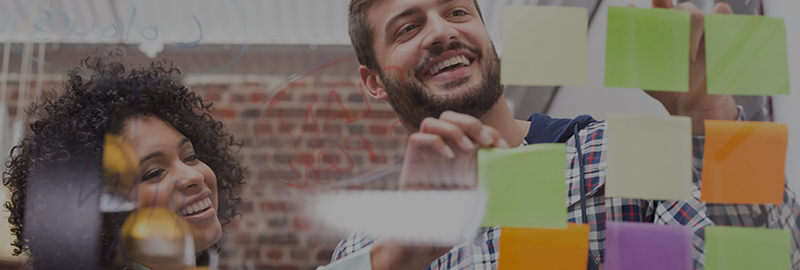 Enterprise Development